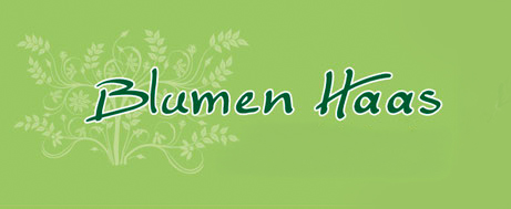 Blumen Haas